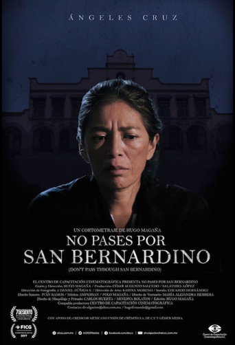 Don't Pass Through San Bernardino movie poster
