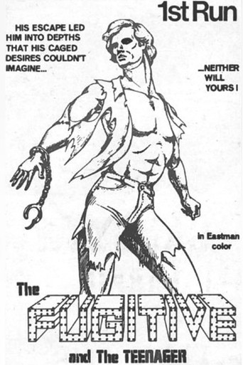 The Fugitive and the Teenager movie poster
