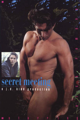 Secret Meeting movie poster