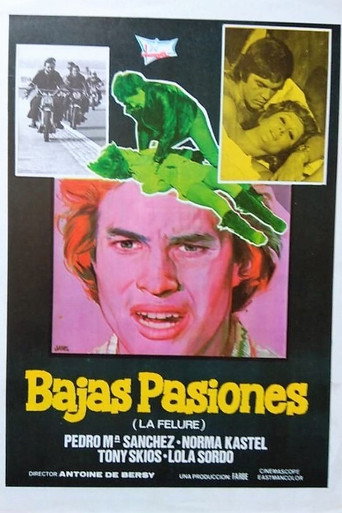 Bajas pasiones movie poster