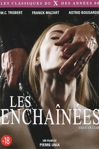 Viols en cuir, enchaînées de plaisir movie poster