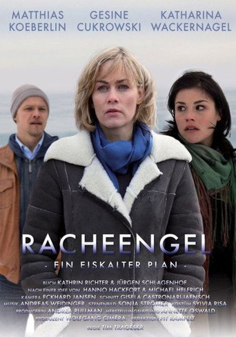Racheengel - Ein eiskalter Plan movie poster