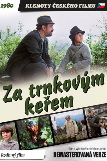 Behind the Sloe-Bush movie poster