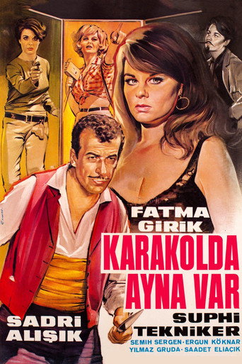 Karakolda Ayna Var movie poster