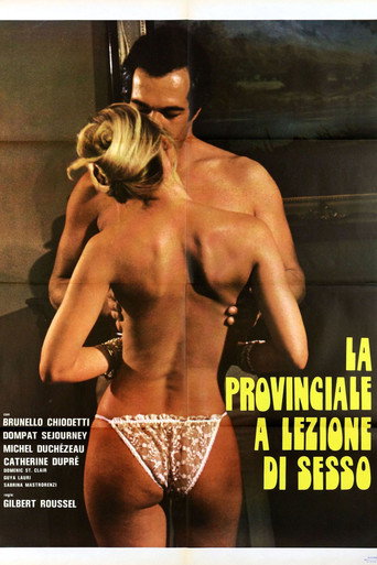 La provinciale a lezione di sesso movie poster