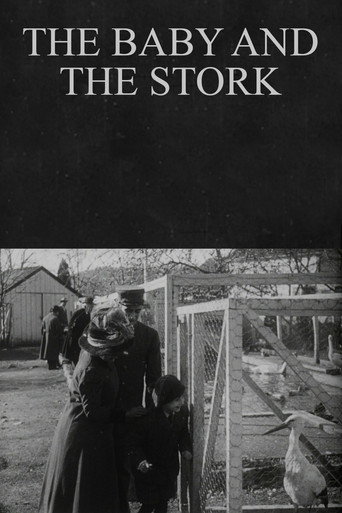 The Baby and the Stork movie poster