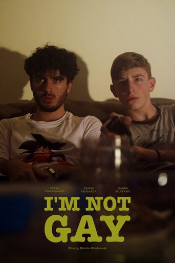 I’m Not Gay movie poster