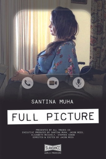 Full Picture movie poster
