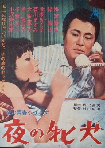 Night Bitch movie poster
