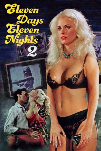 Eleven Days, Eleven Nights 2 movie poster