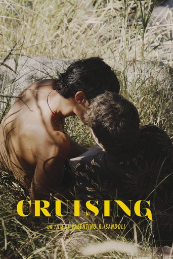 Cruising movie poster