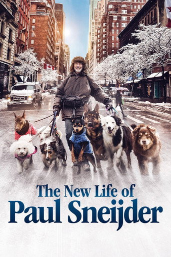The New Life of Paul Sneijder movie poster