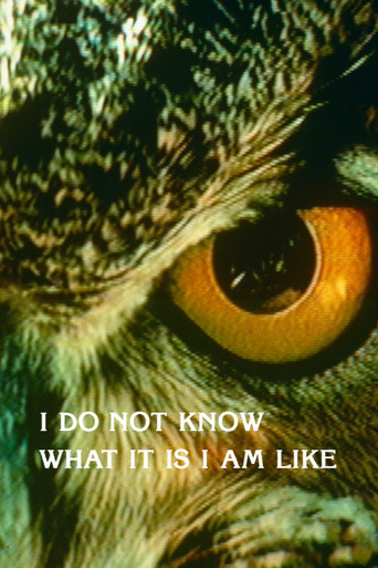 I Do Not Know What It Is I Am Like movie poster