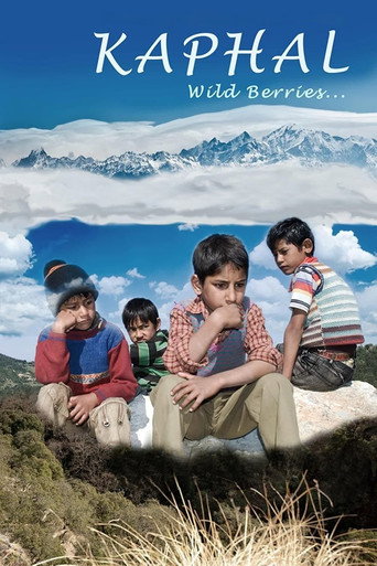 Kaphal: Wild Berries movie poster