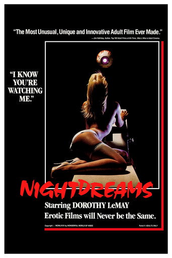 Nightdreams movie poster
