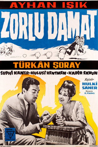 The Tough Groom movie poster