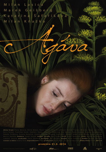 Agáva movie poster