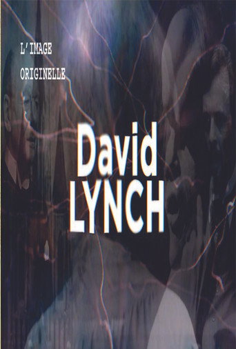 The Original Image - David Lynch movie poster