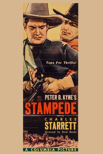 Stampede movie poster