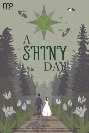 A Shiny Day movie poster