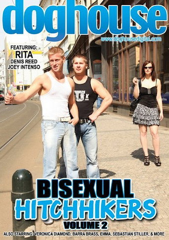Bisexual Hitchhikers 2 movie poster