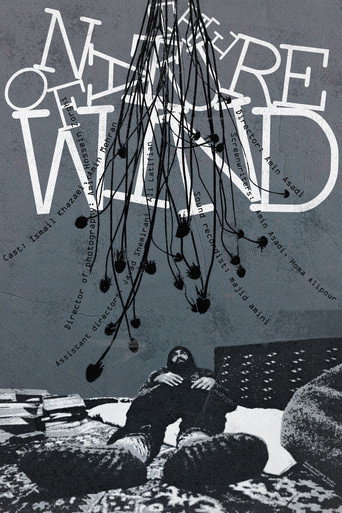 The Nature of Wind movie poster