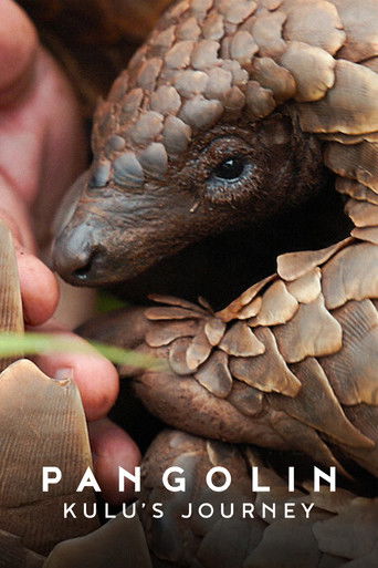 Pangolin: Kulu's Journey movie poster