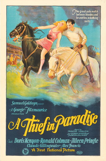 A Thief in Paradise movie poster