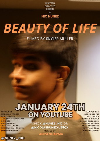Beauty of Life movie poster