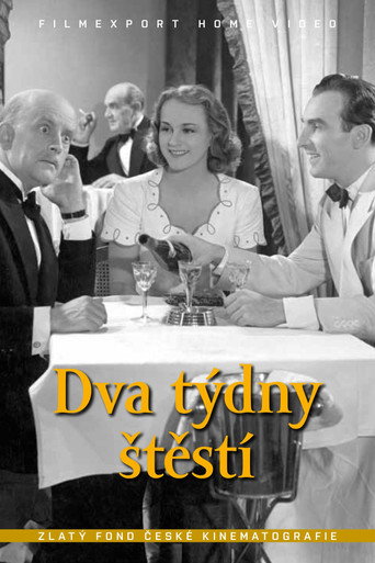 Dva týdny štěstí movie poster