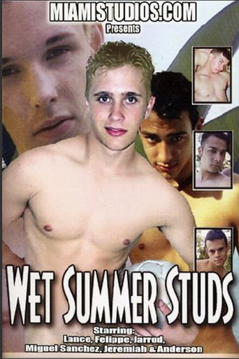 Wet Summer Studs movie poster