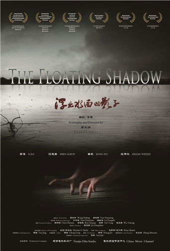 The Floating Shadow movie poster