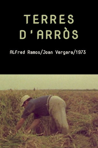 Terres d'arròs movie poster