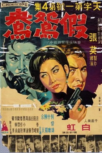The Best Secret Agent 4: Fake Couple movie poster