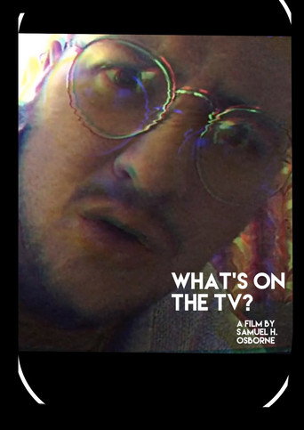 What's on the TV? movie poster