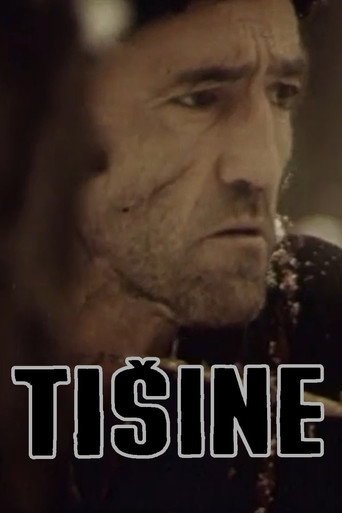 Silences movie poster