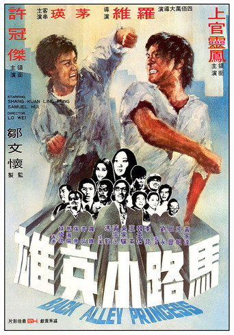 Back Alley Princess movie poster