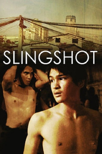 Slingshot movie poster