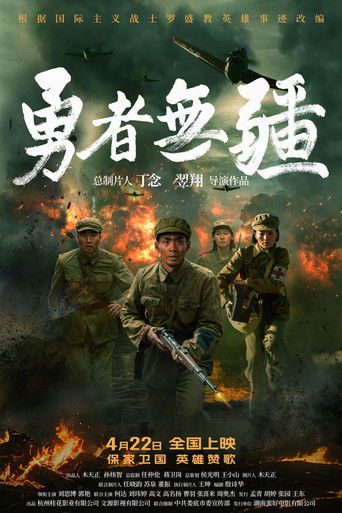 Brave Without Boundaries movie poster