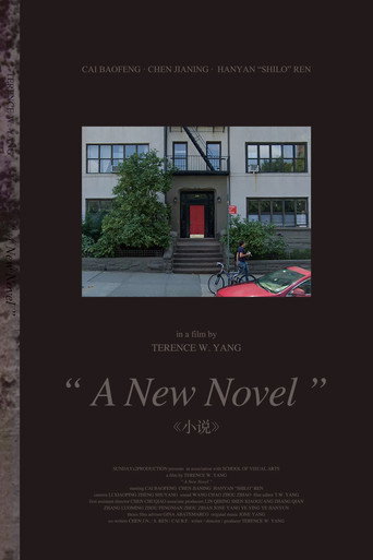A New Novel movie poster