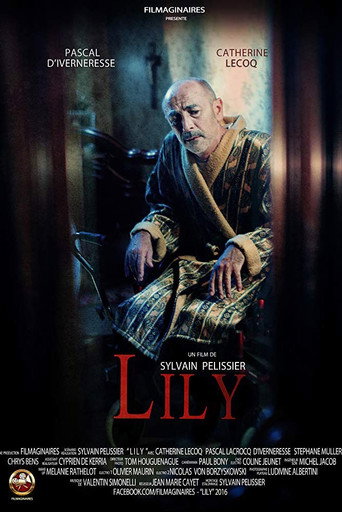 Lily movie poster