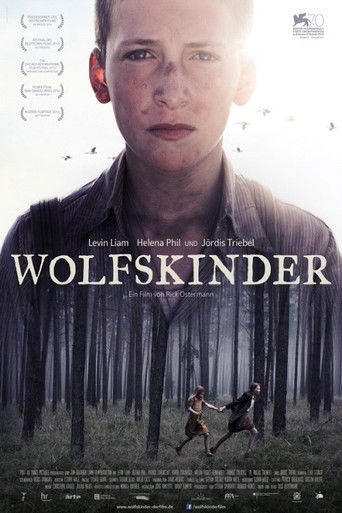 Wolf Children movie poster