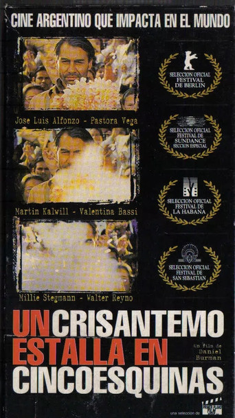 A Crysanthemum Bursts in Cincoesquinas movie poster