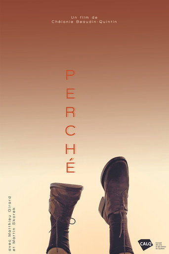 Perché movie poster