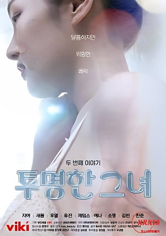 The Transparent Girls Second Story movie poster