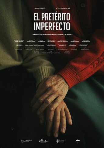 El pretérito imperfecto movie poster