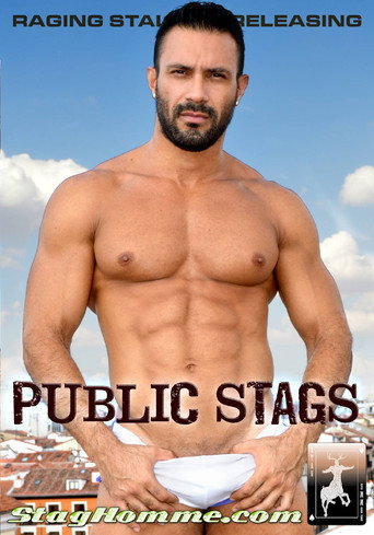 Public Stags movie poster
