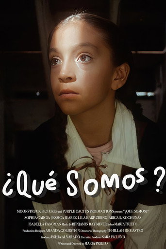 ¿Qué Somos? movie poster