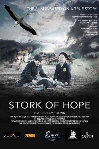 Stork of Hope movie poster