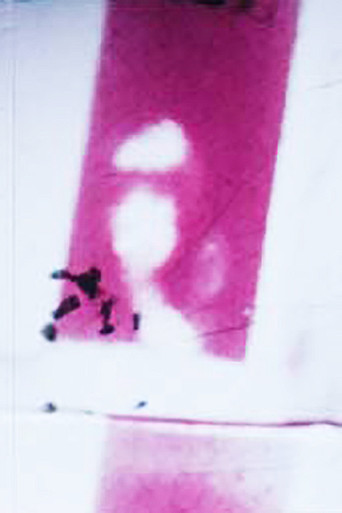 Frames movie poster